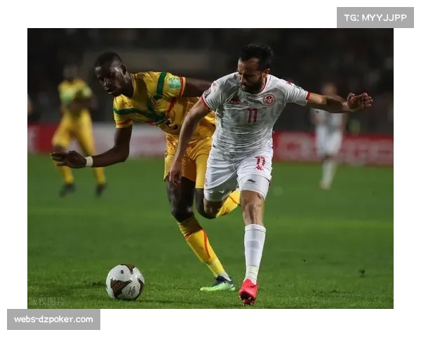 突尼斯晋级世界杯,北非足球力量持续强势 突尼斯晋级世界杯,北非足球力量持续强势